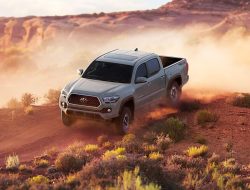 Toyota of Tacoma Cars Your Drive Awaits