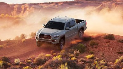 Toyota of tacoma cars