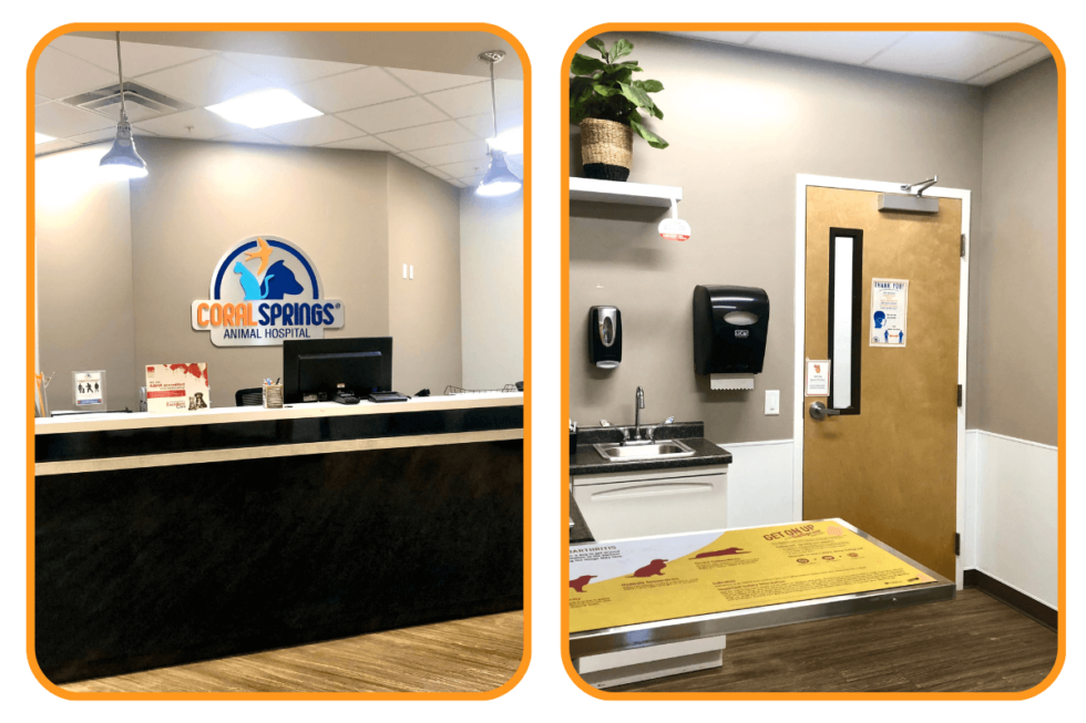 Chewy vet care coral springs
