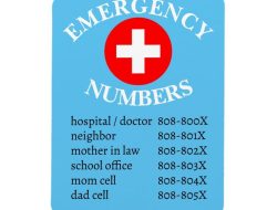 Emerest Phone Number Your Direct Line