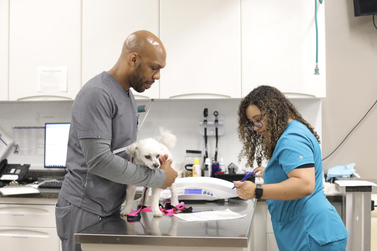 Chewy vet care coral springs