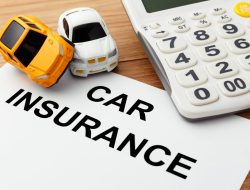 Purchase Car Insurance Online Your Easy Solution