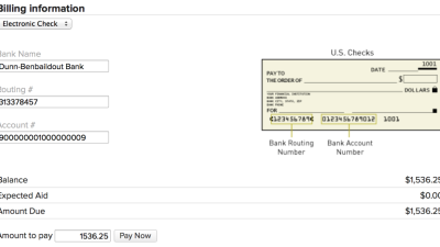 Electronic Checks (eCheck): What They Are and How They Work | SoFi