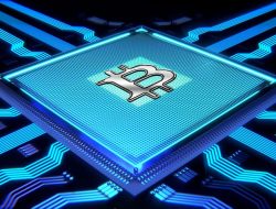 Crypto Casino Reddit Your Ultimate Guide