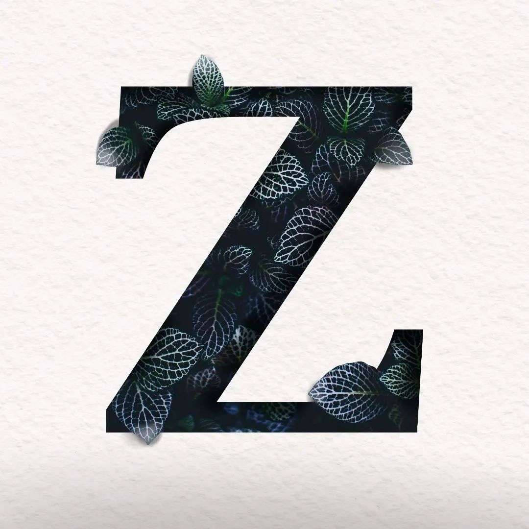 Z Letter Alphabet Z Letter Alphabet