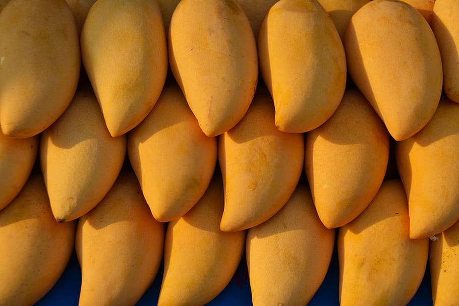 HD wallpaper: mango, tree, green, food, health, healthy, food and drink ... HD wallpaper: mango, tree, green, food, health, healthy, food and drink ...