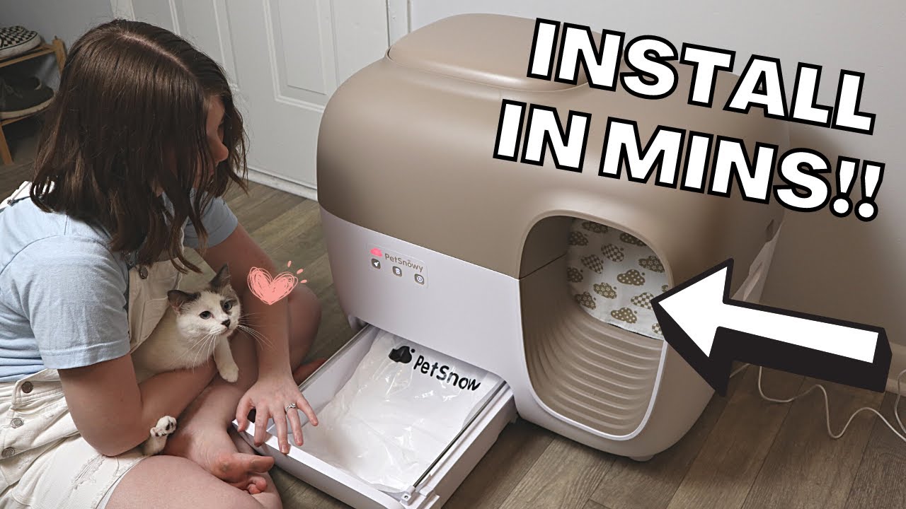 Where To Install Litter Box at Dane Wallace blog Where To Install Litter Box at Dane Wallace blog
