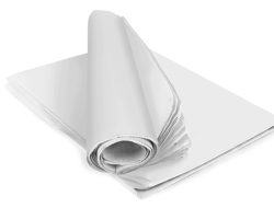 Paper Gown A Revolutionary Style