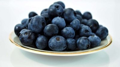 Free picture: agriculture, grape, summer, leaf, food, flora, fruit, nature