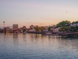 Wilmington Silver And Gold Shining Treasure Awaits You