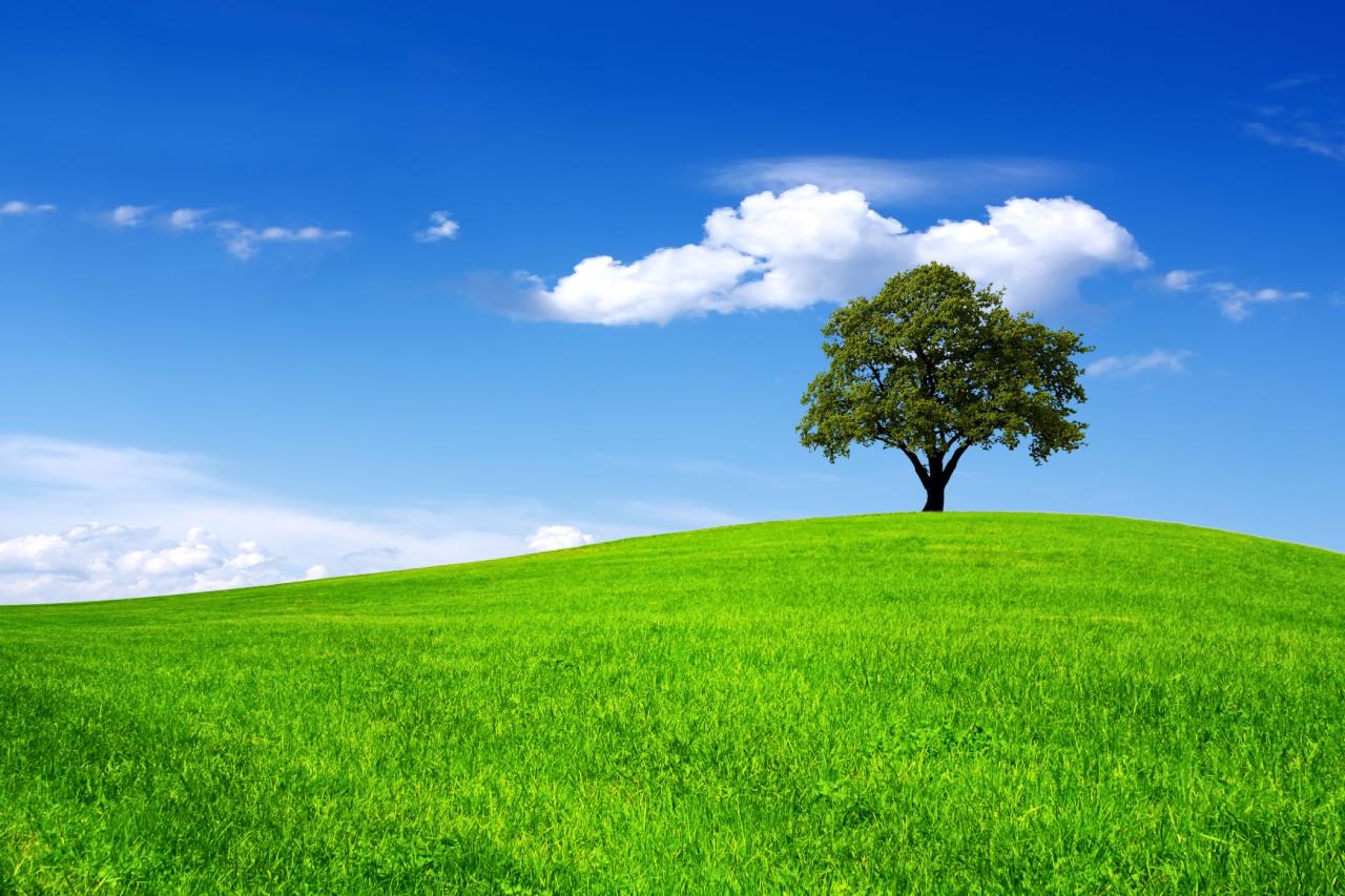 Your Guide for Land Entitlement 2025 Your Guide for Land Entitlement 2025