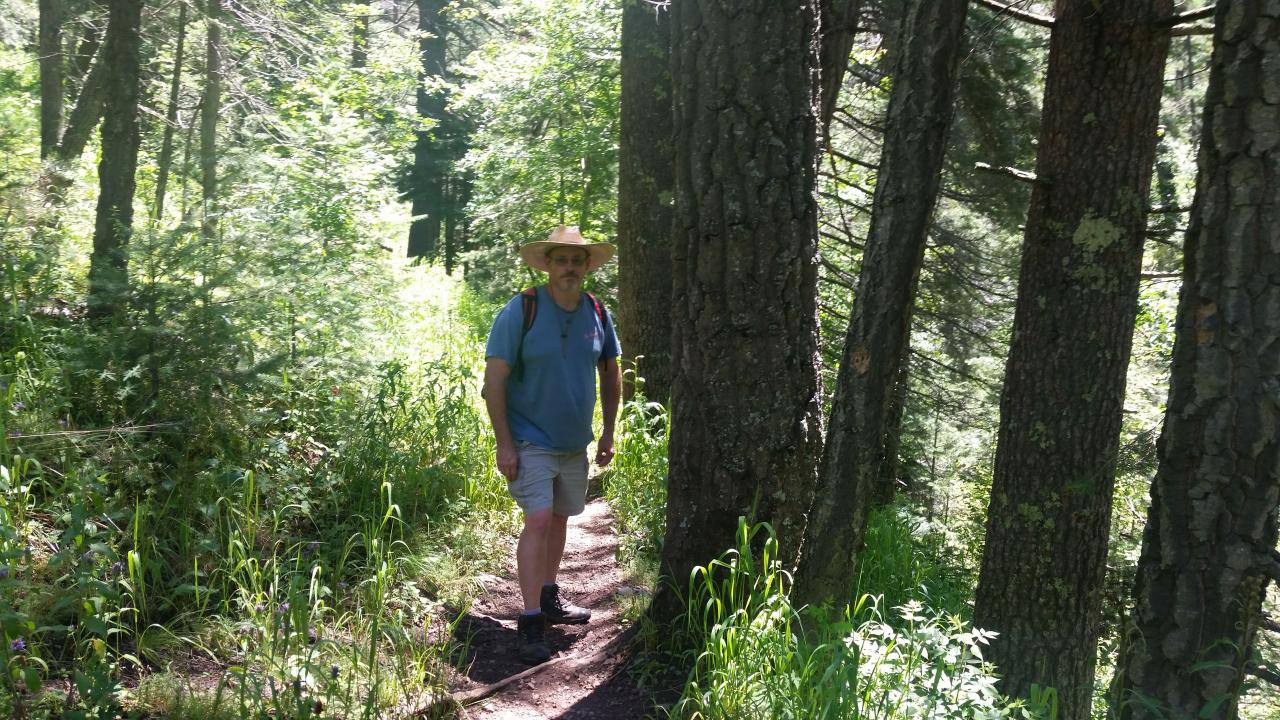 10 Best trails and hikes in Cloudcroft | AllTrails 10 Best trails and hikes in Cloudcroft | AllTrails