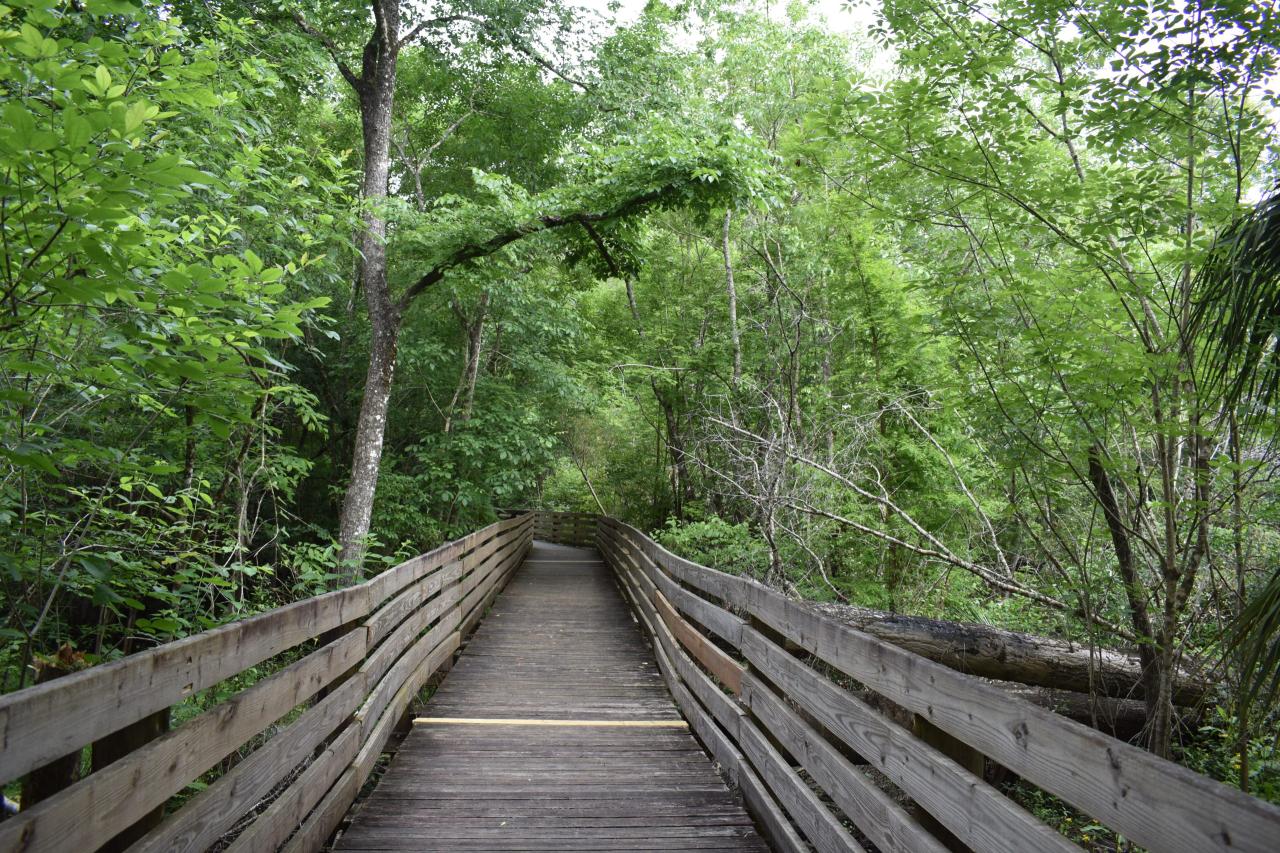 Best Trails near Hillsborough, North Carolina | AllTrails Best Trails near Hillsborough, North Carolina | AllTrails