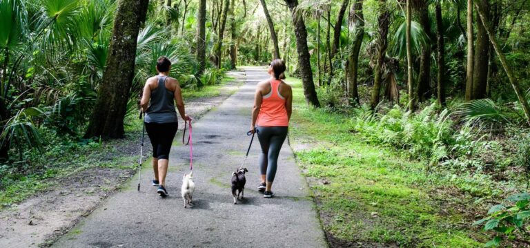 Hit the Trails During Hillsborough Hiking Spree | Plant City Observer Hit the Trails During Hillsborough Hiking Spree | Plant City Observer