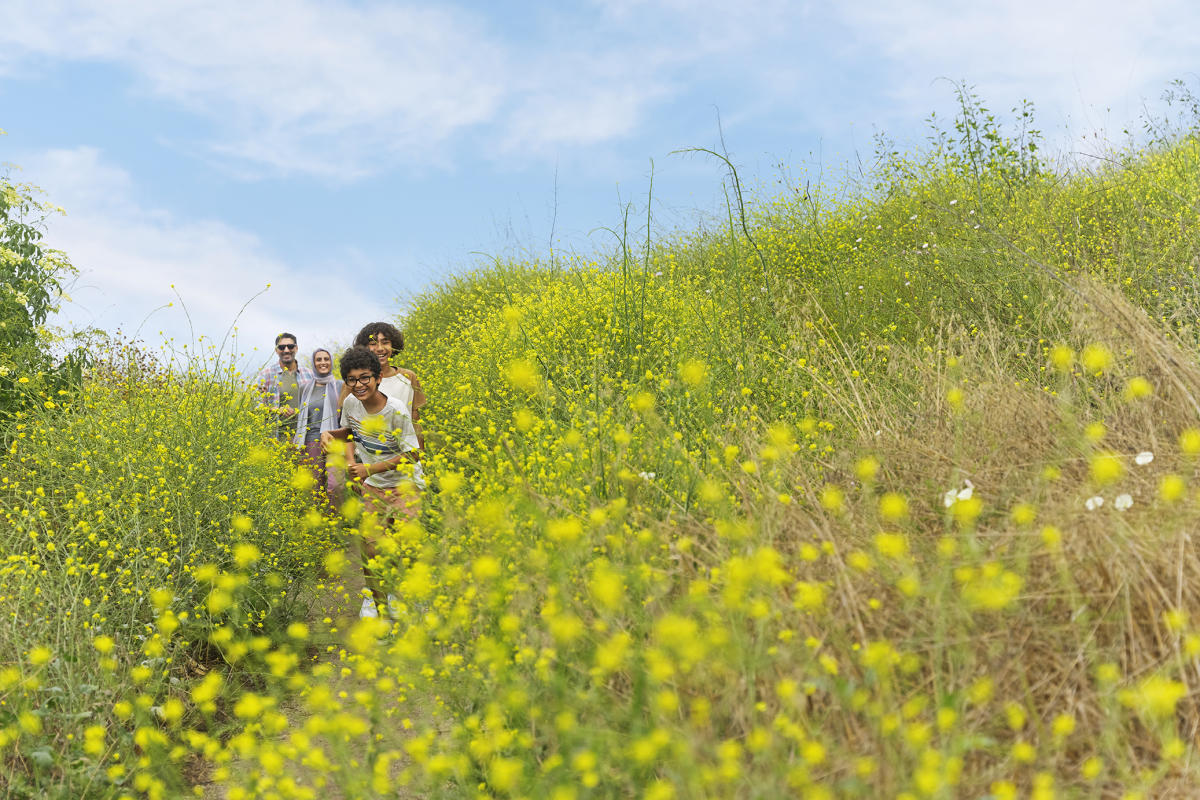 Best Hikes in Orange County, CA: Most Beautiful Hiking Trails to Visit ... Best Hikes in Orange County, CA: Most Beautiful Hiking Trails to Visit ...