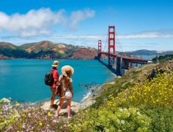 Best Hiking Near Sf For Nature Lovers Seeking Adventure
