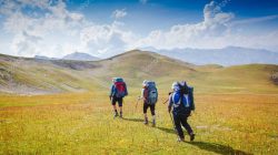 Hiking in Folsom Discover Natures Best Trails