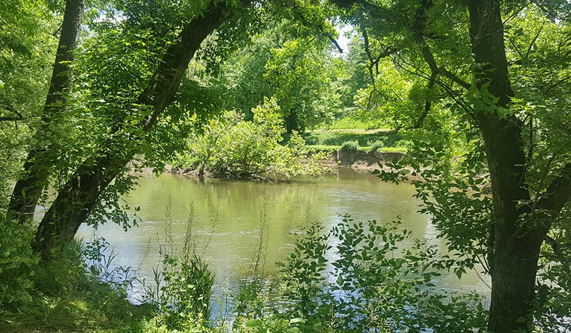 3 Best Hiking Trails in Lancaster, CA - Expert Recommendations