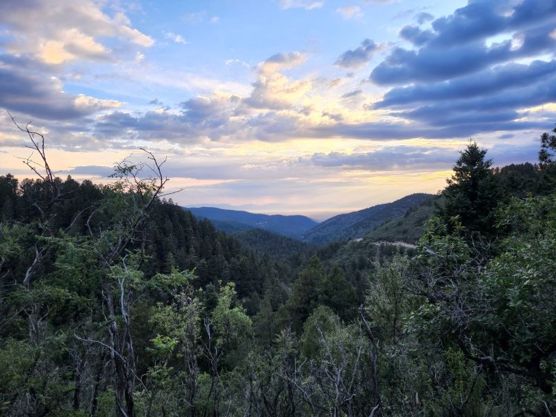 10 Best Trails and Hikes in Cloudcroft | AllTrails