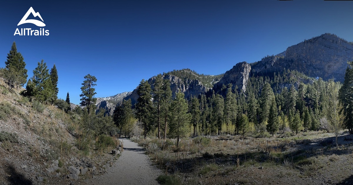 10 Best trails and hikes in Mount Charleston | AllTrails 10 Best trails and hikes in Mount Charleston | AllTrails
